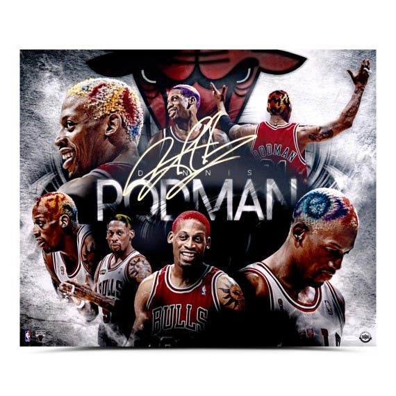 dennis rodman hair