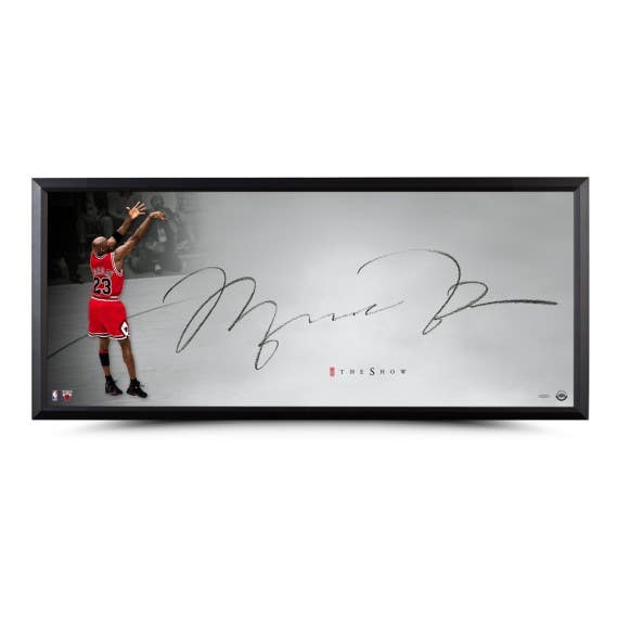 Michael Jordan Autographed The Show Shot of Silver